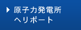 原子力発電所ヘリポート